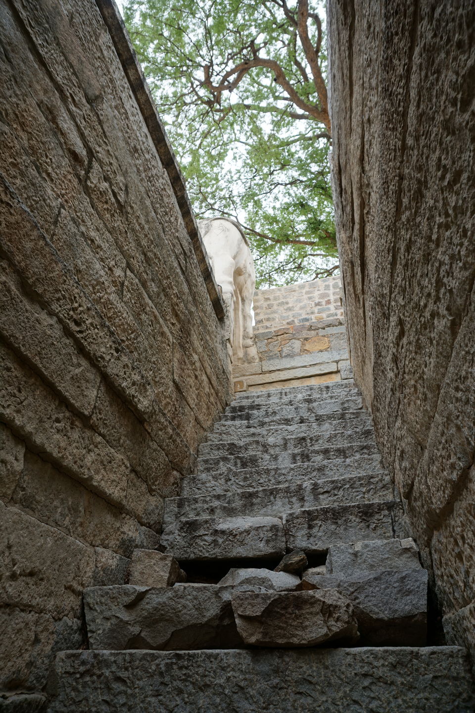 Photo of A bike trip to historical monuments in Rayalaseema by Vihang Ghalsasi