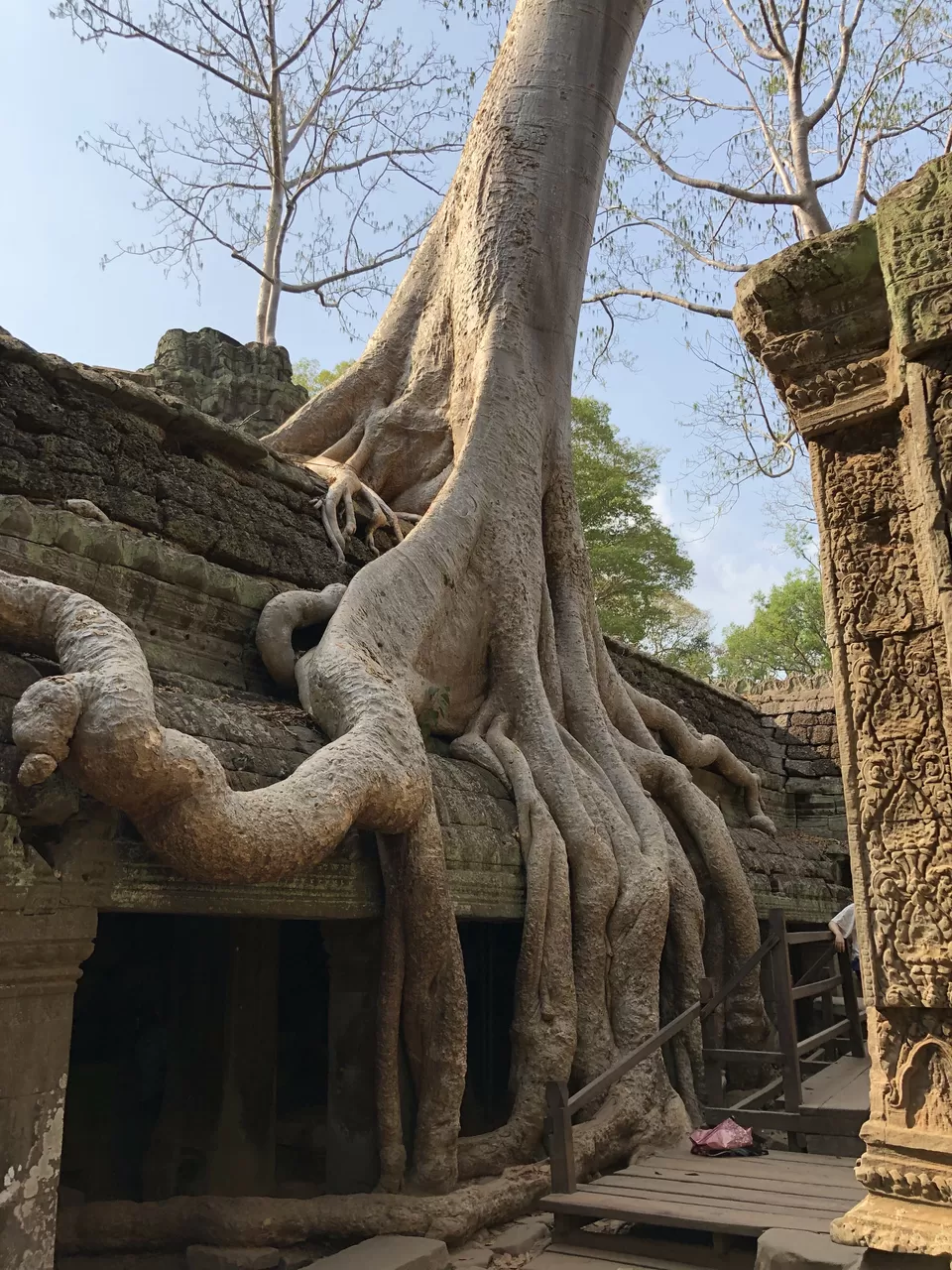 Photo of Ta Prohm Temple, Angkor Archaeological Park, Krong Siem Reap, Cambodia by Yash Asthana
