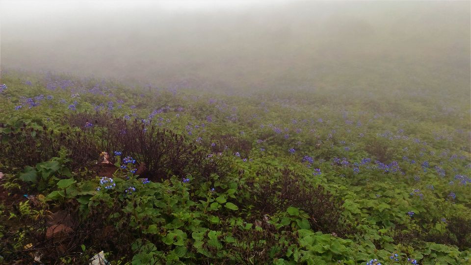 Photo of Kalsubai Trek - Highest peak in Maharashtra 13/15 by The Resfeber travellers