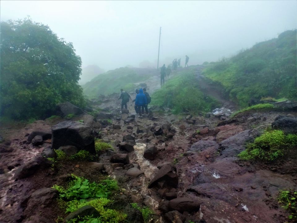Photo of Kalsubai Trek - Highest peak in Maharashtra 7/15 by The Resfeber travellers