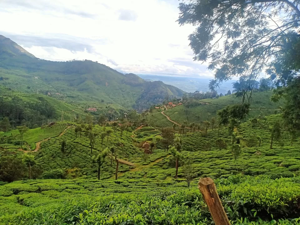 Photo of Munnar, Kerala, India by The Resfeber travellers