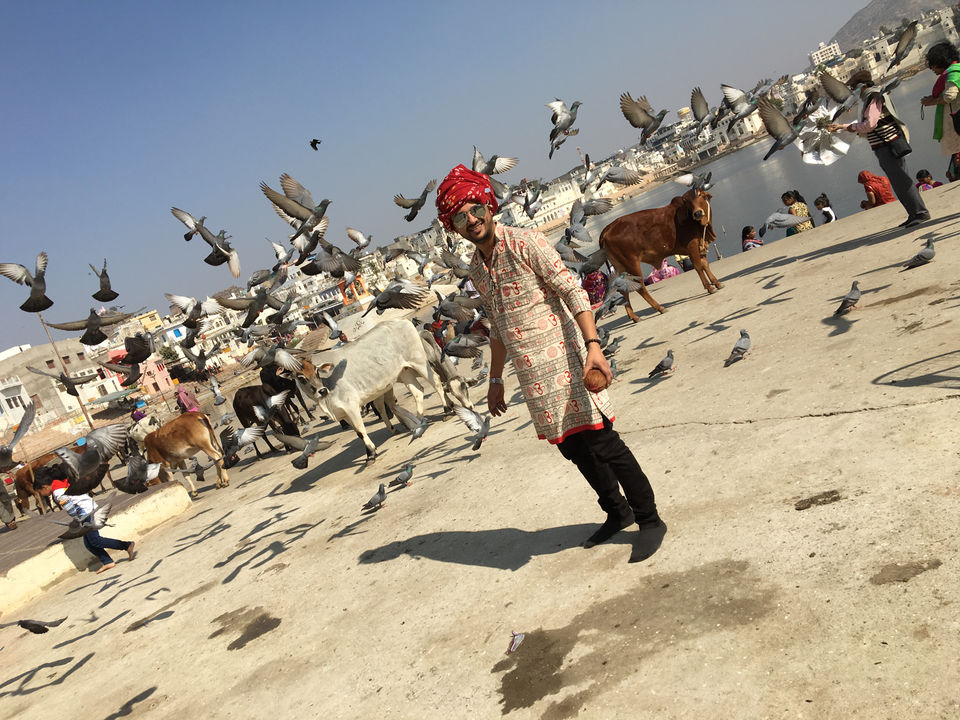 Photo of Pushkar, Rajasthan, India by Thebohemiangirll