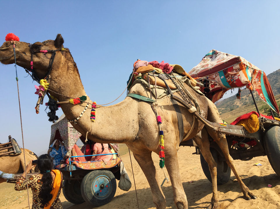 Photo of Pushkar, Rajasthan, India by Thebohemiangirll