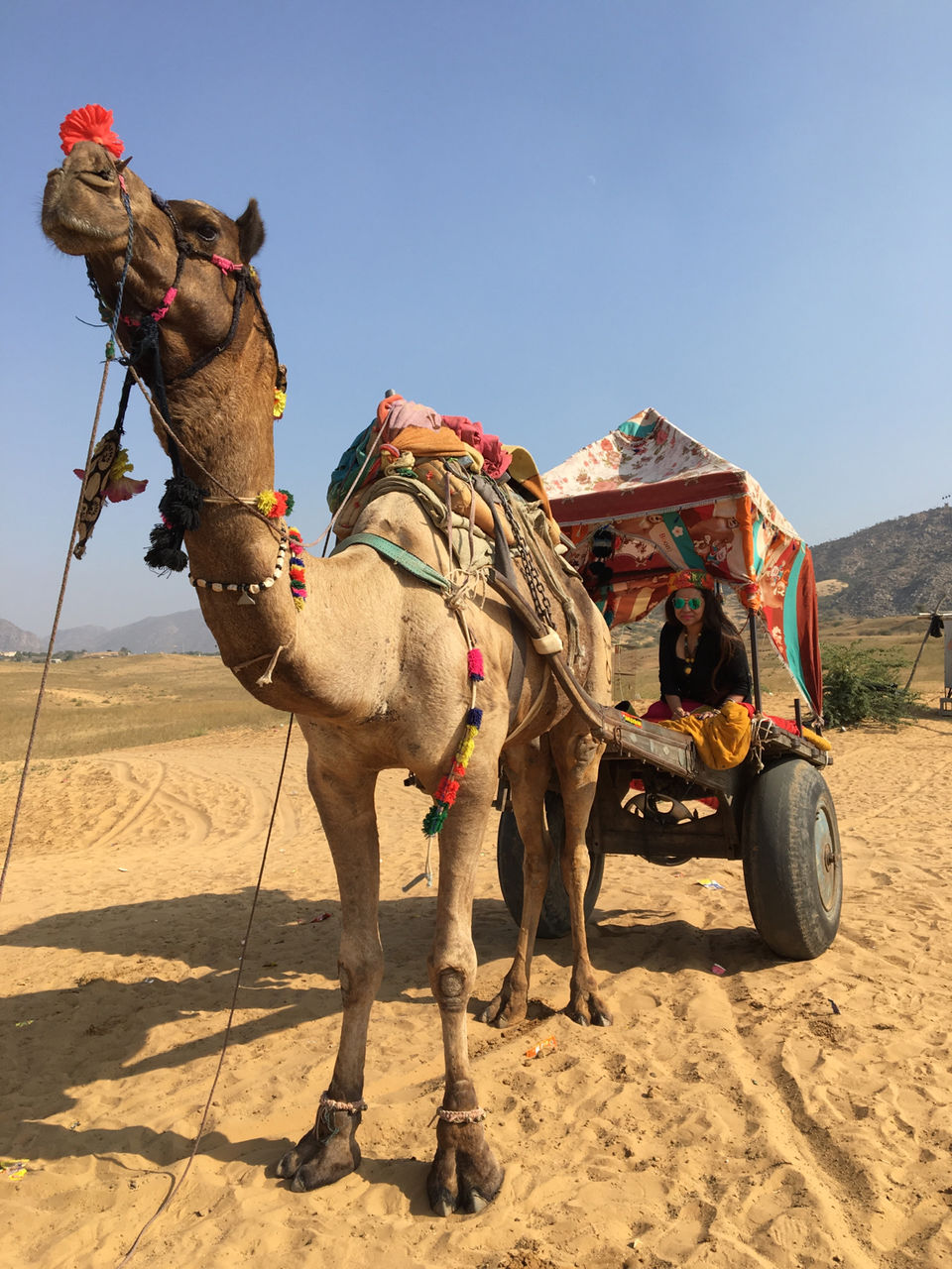 Photo of Pushkar, Rajasthan, India by Thebohemiangirll