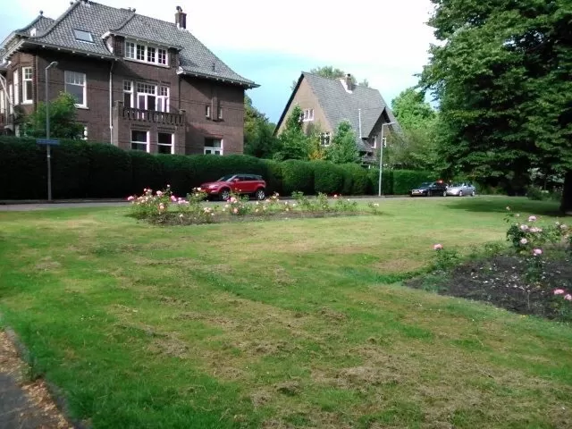 Photo of Rotterdam, Netherlands by Thebohemiangirll