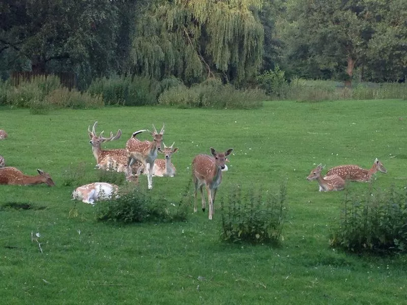 Photo of Rotterdam, Netherlands by Thebohemiangirll