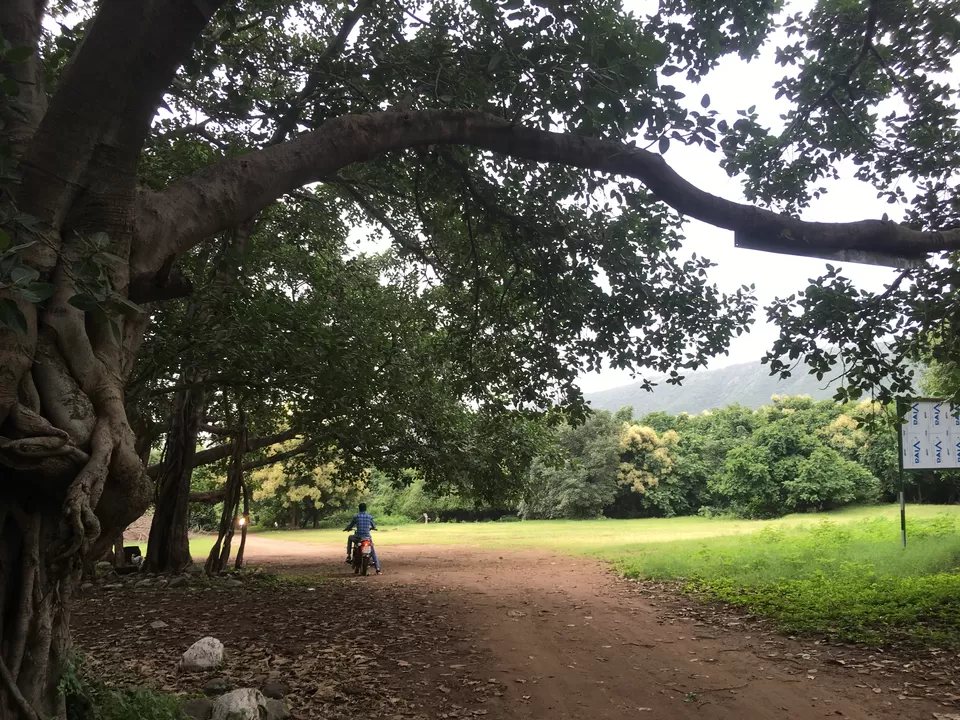 Photo of Junagadh Road, Vadal, Gujarat, India by ssquare joshi