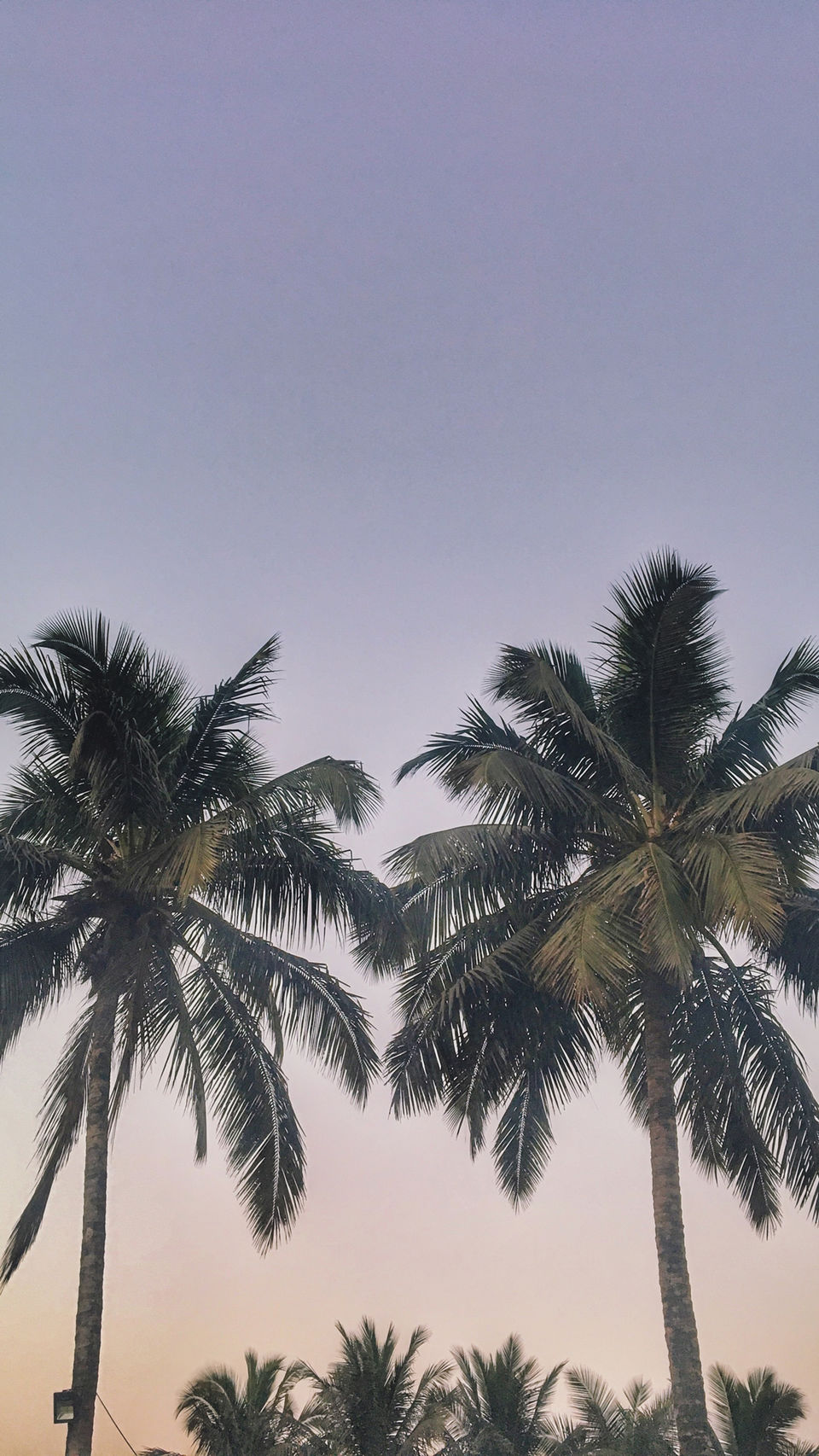 Photo of Goa, India by Omkar Nilapwar