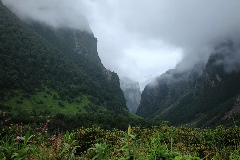Photo of Valley of Flowers National Park, Chamoli, Uttarakhand, India by Aji Jayachandran