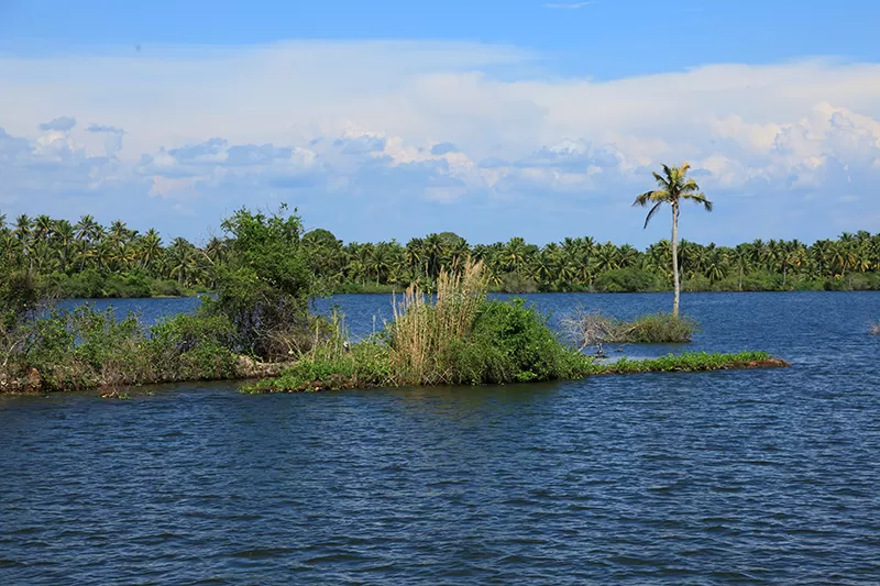 Photo of Kayamkulam Lake, Alappuzha, Kerala, India by Aji Jayachandran