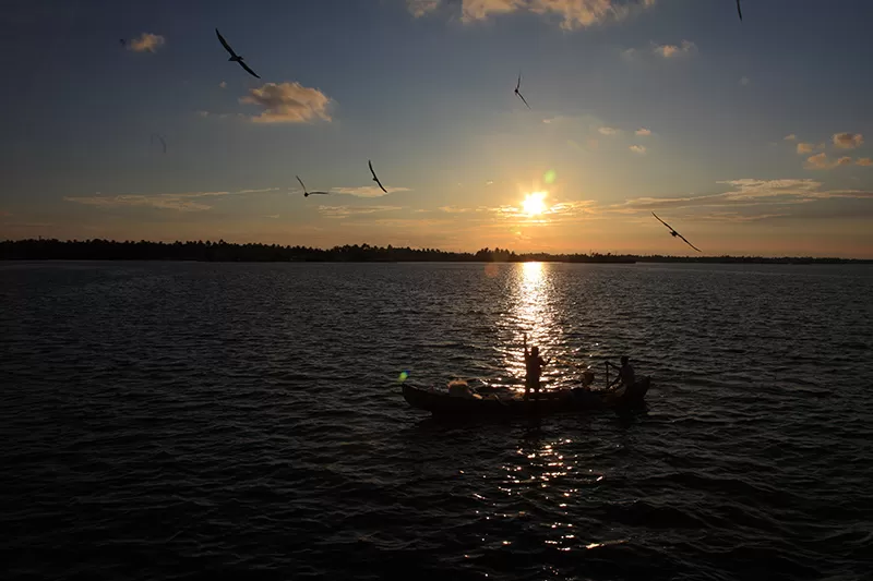 Photo of Ashtamudi Lake, Kollam, Kerala, India by Aji Jayachandran