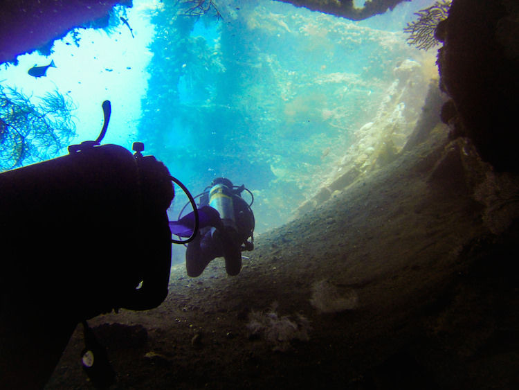 Photo of Diving With Fishes: Experiencing Bali Underwater 5/9 by Gina And Daniel