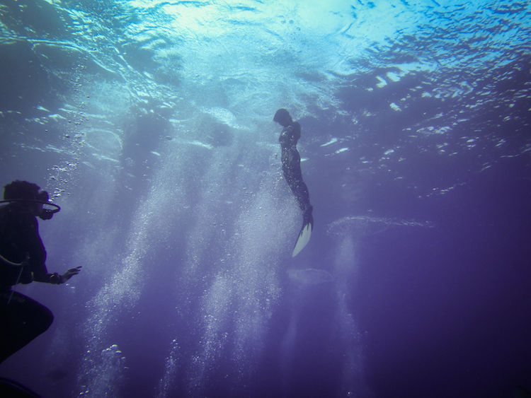 Photo of Diving With Fishes: Experiencing Bali Underwater 6/9 by Gina And Daniel