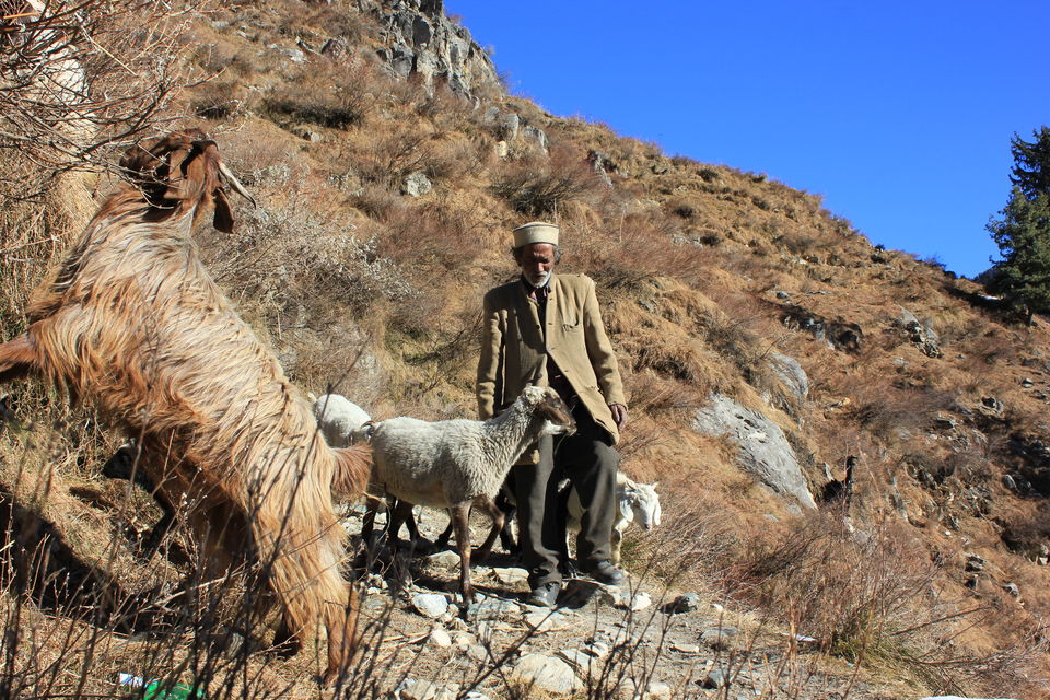 Photo of A Trip to Heaven - Himachal 18/20 by Divas Mittal