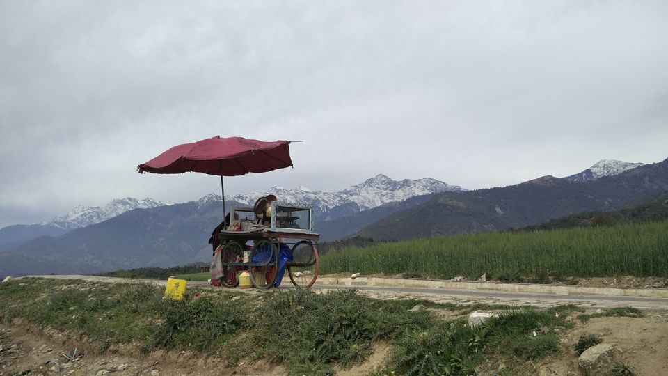 Photo of Solo Wandering in Bir, Palampur & Parvati Valley by Divas Mittal