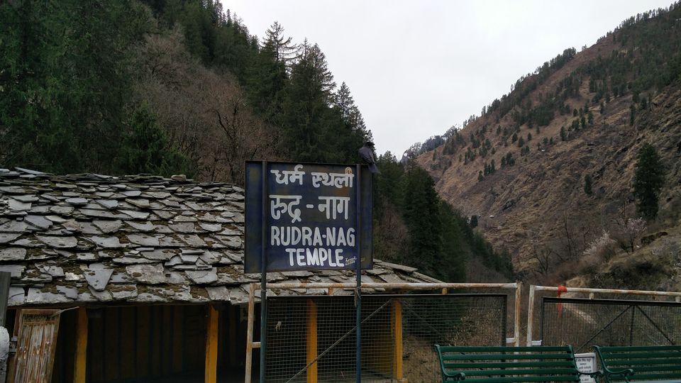 Photo of Solo Wandering in Bir, Palampur & Parvati Valley by Divas Mittal