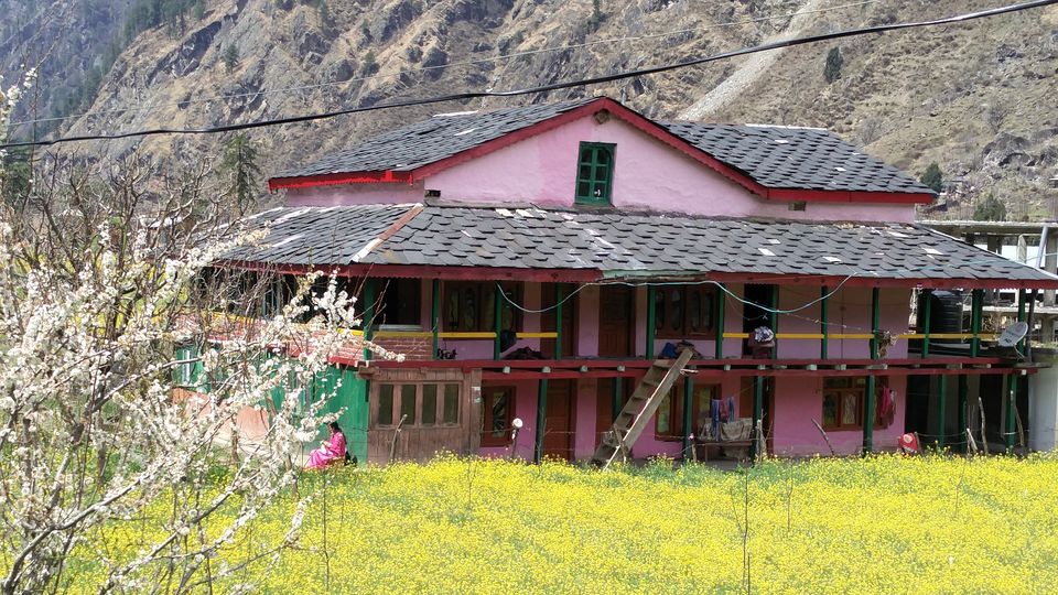 Photo of Solo Wandering in Bir, Palampur & Parvati Valley by Divas Mittal