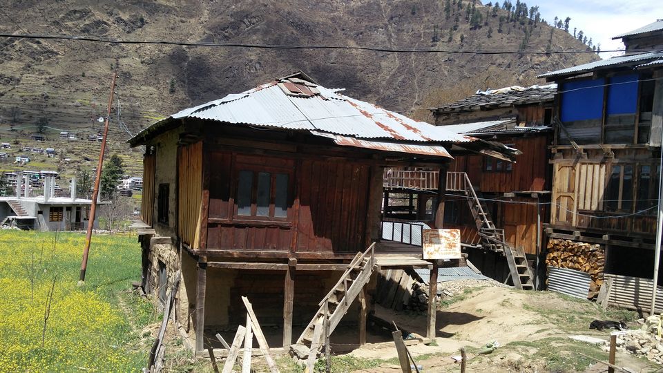 Photo of Solo Wandering in Bir, Palampur & Parvati Valley by Divas Mittal