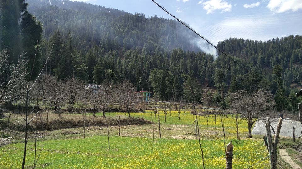Photo of Solo Wandering in Bir, Palampur & Parvati Valley by Divas Mittal
