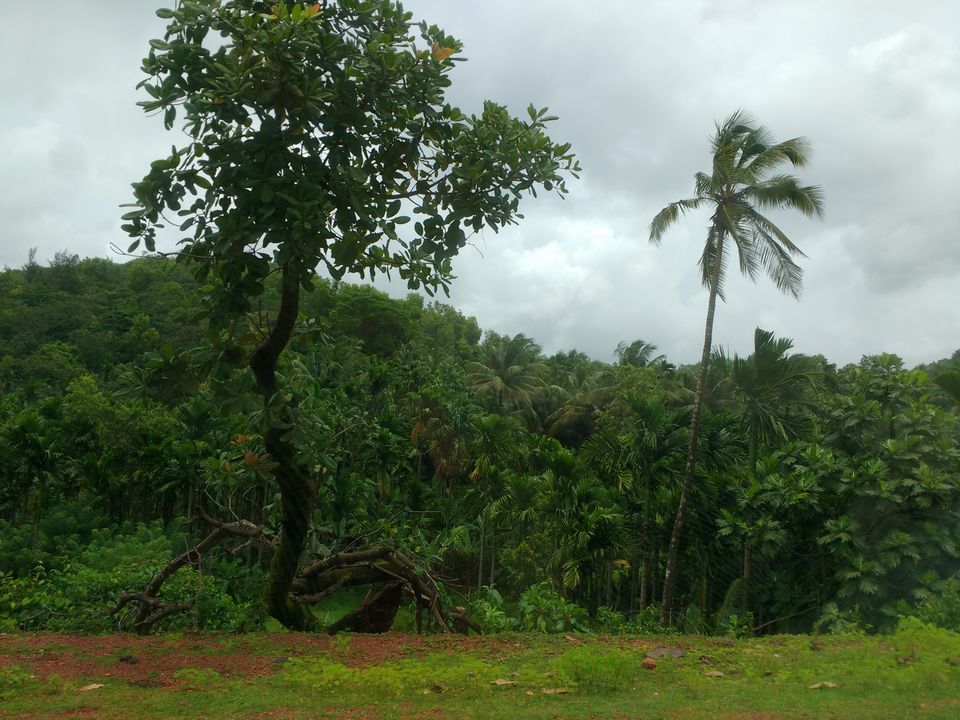 Photo of A Road trip to Dhareshwar & Murdeshwar by anushree.d87