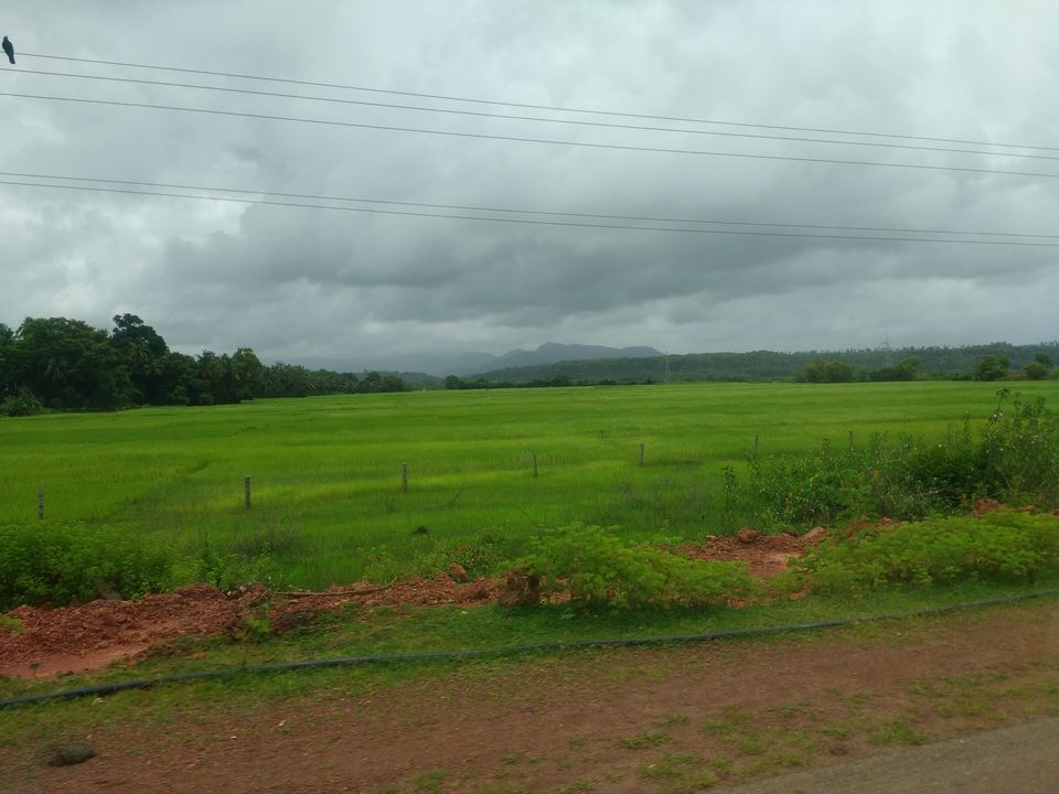 Photo of A Road trip to Dhareshwar & Murdeshwar 5/18 by anushree.d87