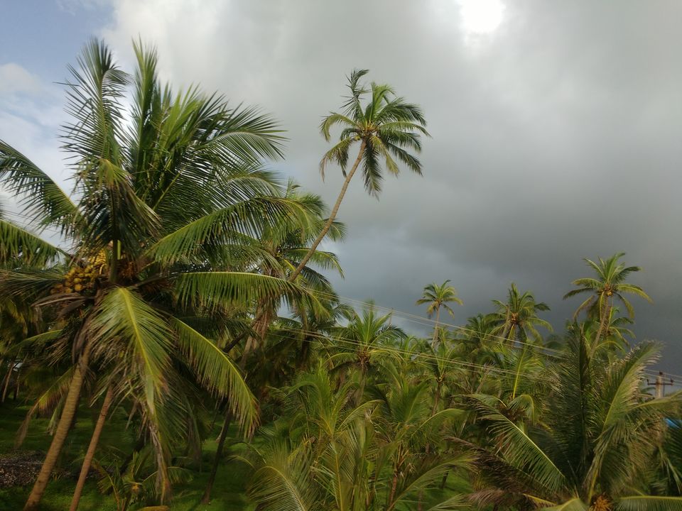 Photo of A Road trip to Dhareshwar & Murdeshwar 2/18 by anushree.d87
