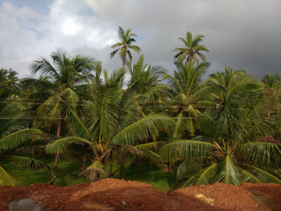 Photo of A Road trip to Dhareshwar & Murdeshwar 1/18 by anushree.d87