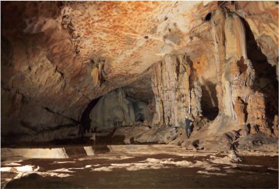 Photo of Tourist Places In Meghalaya 5/5 by Pankti Shah