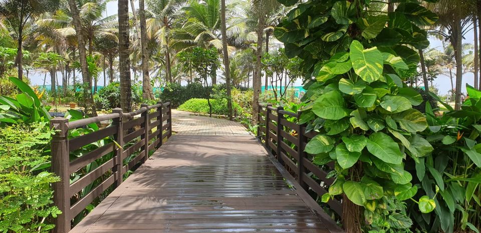 Photo of Tempting And Luxury Abode In Goa: Planet Hollywood 2/18 by Pankti Shah