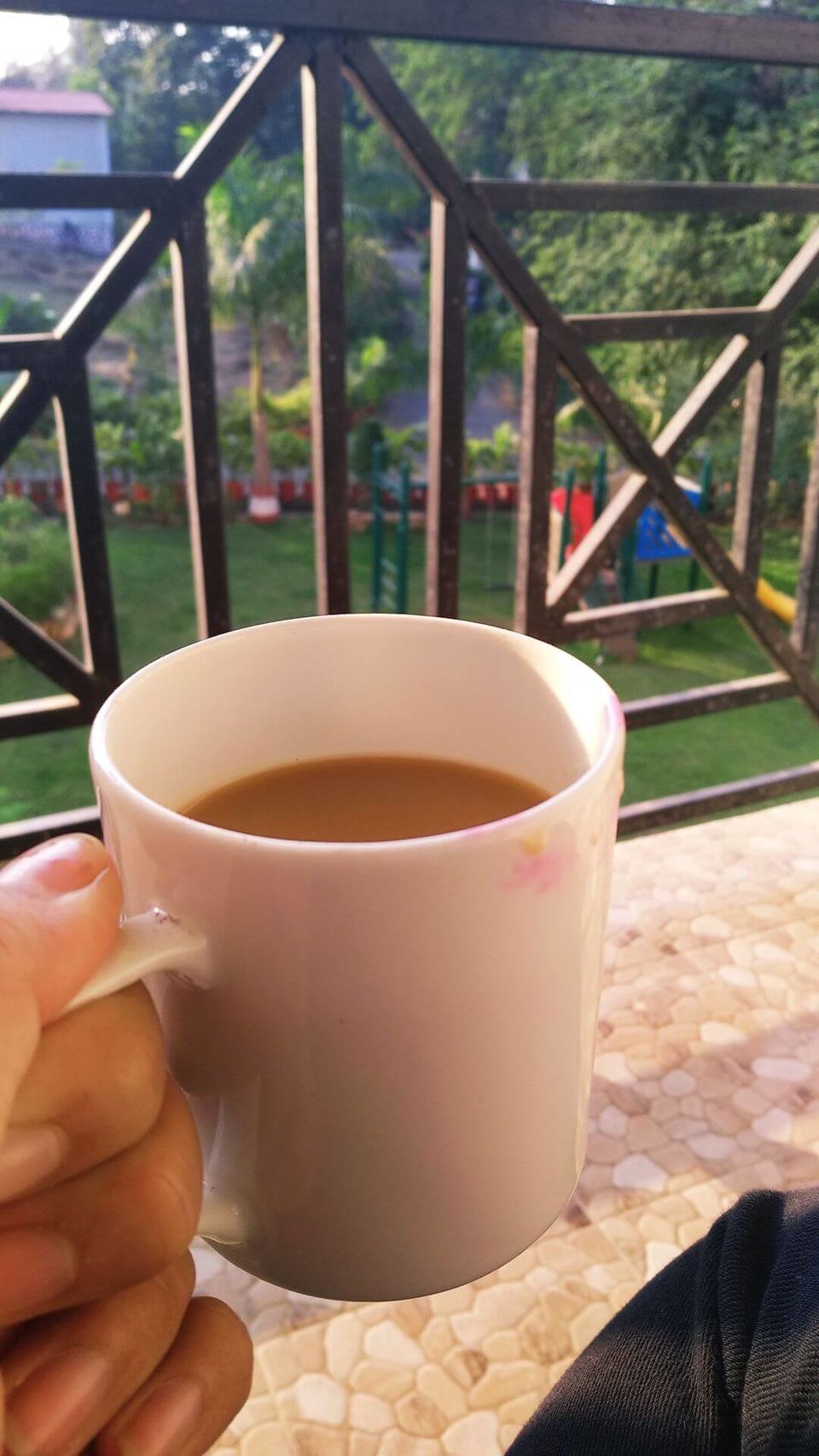 Photo of Moments Of Complete Bliss At The Khanvel Resort 5/12 by Pankti Shah