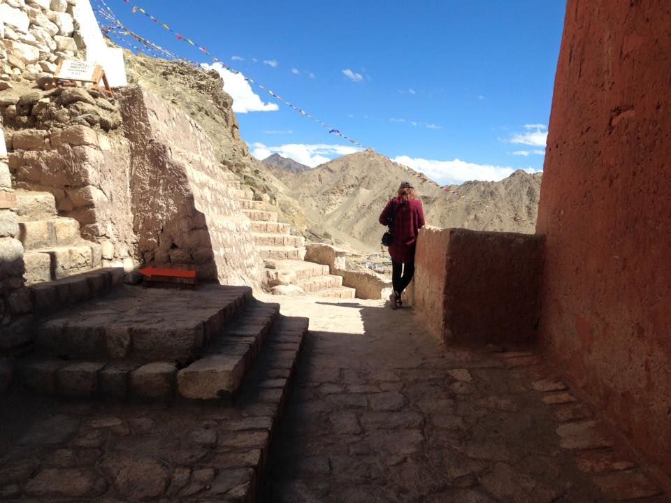 Photo of Leh Ladakh..Create colorful memories 8/72 by Vidu Gulpadiya