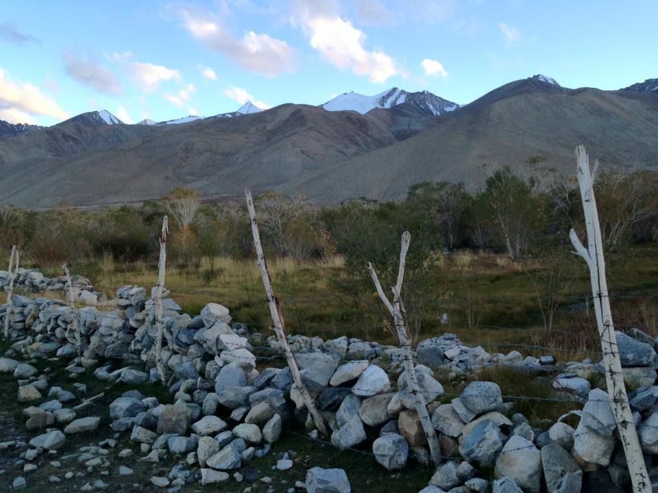 Photo of Leh Ladakh..Create colorful memories 43/72 by Vidu Gulpadiya