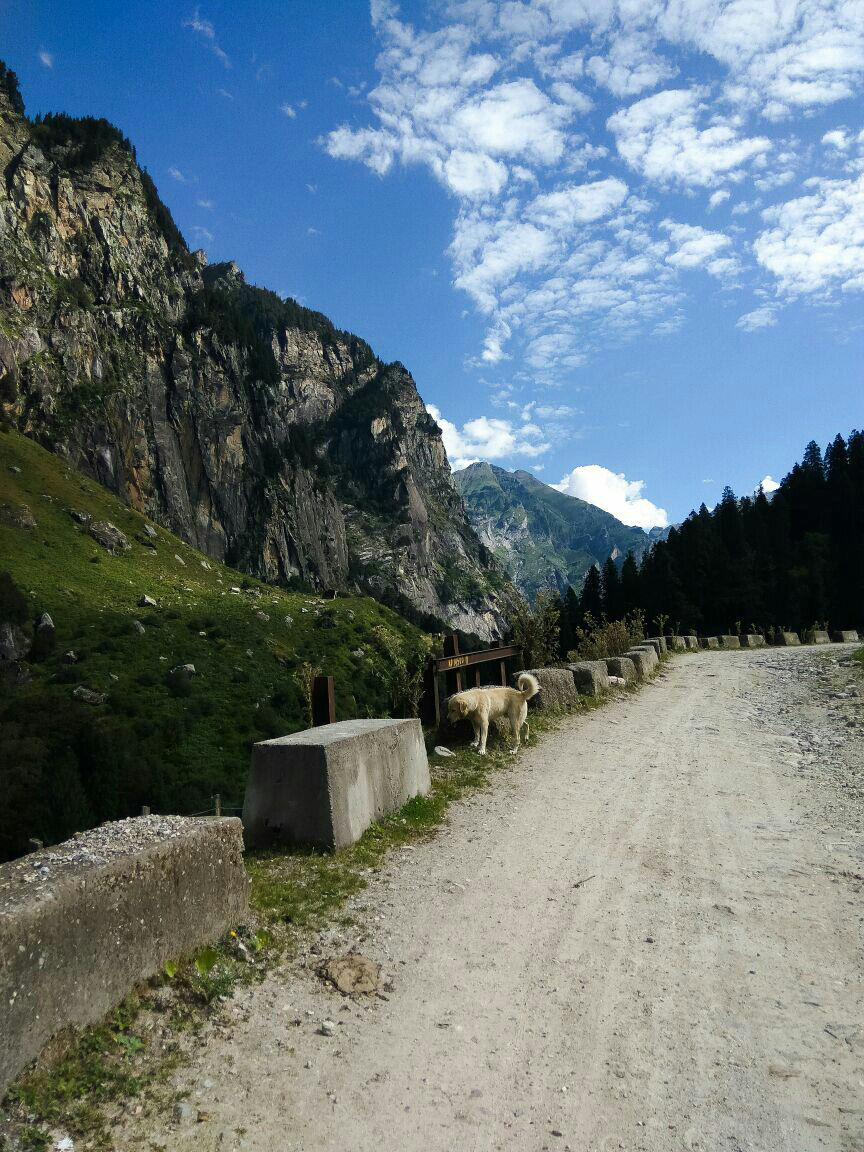 Photo of Hampta Pass: From lush green forests to boulders and rocky mountains by Varsha Bang