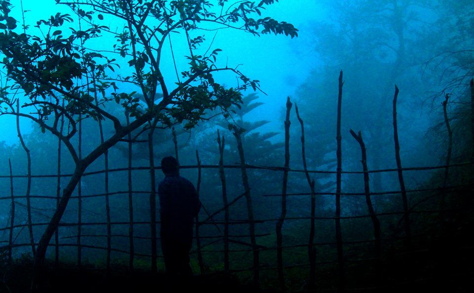 Photo of Idukki, well almost! 3/8 by Arshad