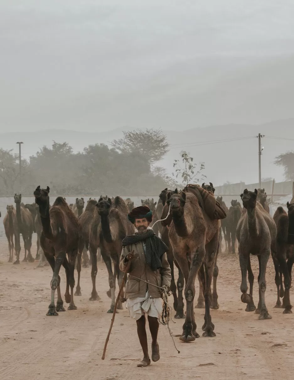 Photo of Pushkar, Rajasthan, India by karan patel