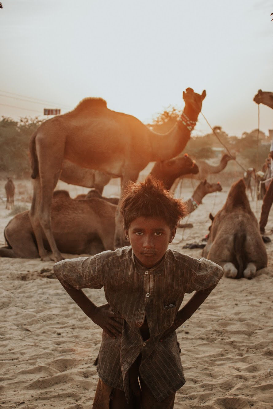 Photo of Pushkar, Rajasthan, India by karan patel