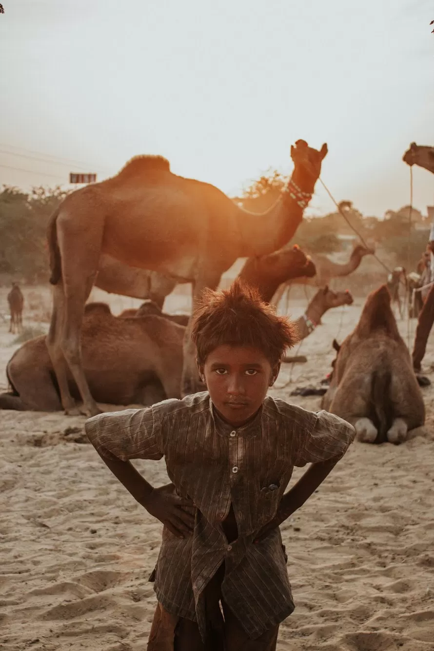 Photo of Pushkar, Rajasthan, India by karan patel