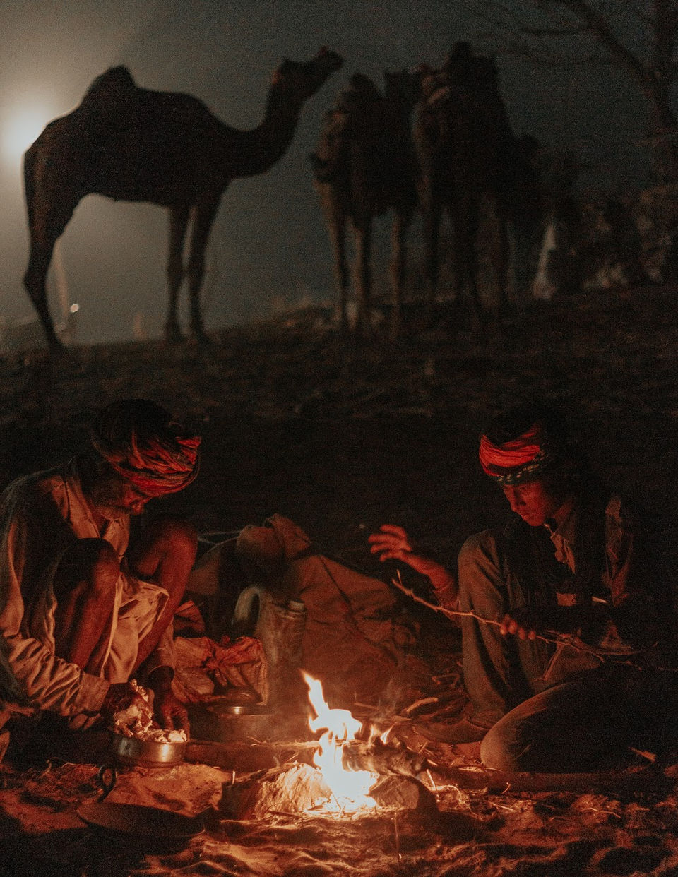 Photo of Pushkar, Rajasthan, India by karan patel