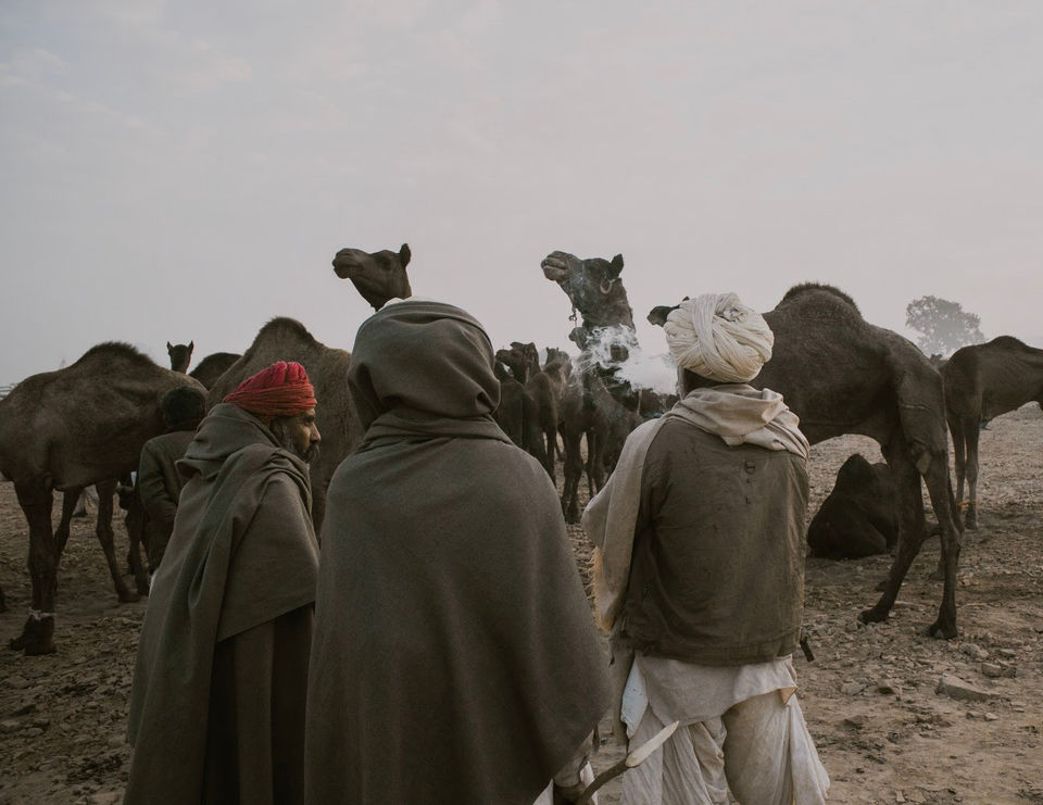 Photo of Pushkar, Rajasthan, India by karan patel