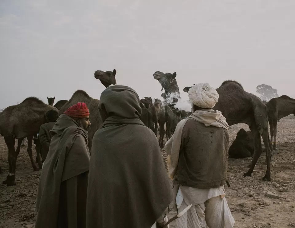 Photo of Pushkar, Rajasthan, India by karan patel