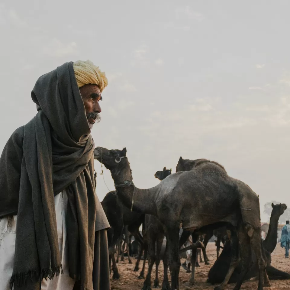 Photo of Pushkar, Rajasthan, India by karan patel