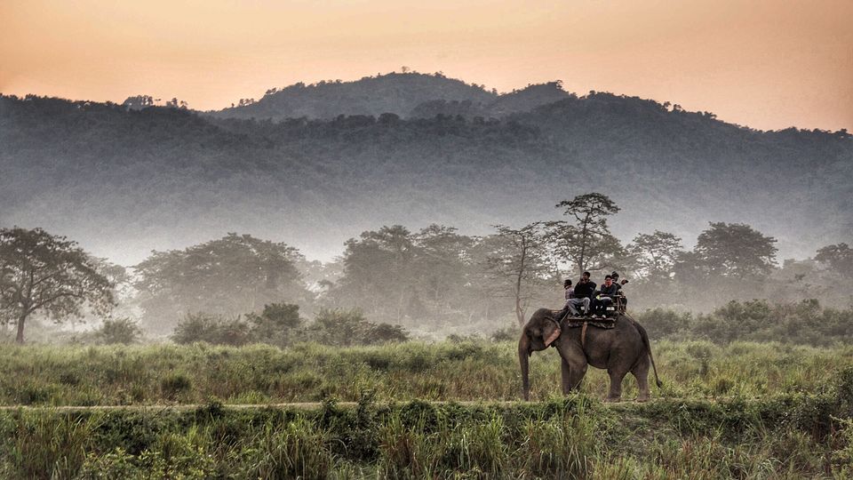 Photo of Kaziranga National Park, Kanchanjuri, Assam, India by BAWRA_MUSAFIR
