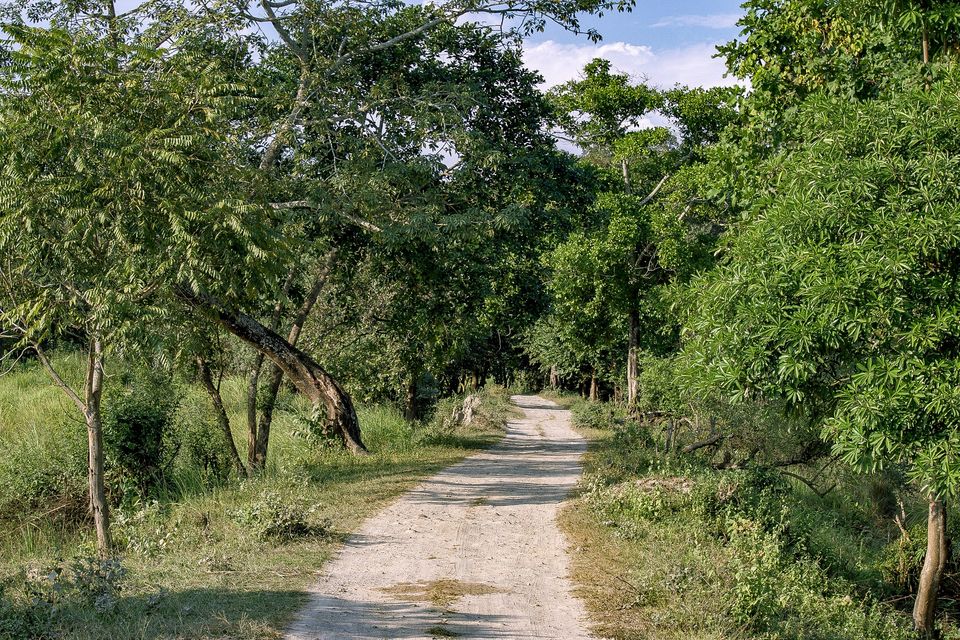 Photo of Budget trip to MEGHALAYA with Bawra Musafir by BAWRA_MUSAFIR