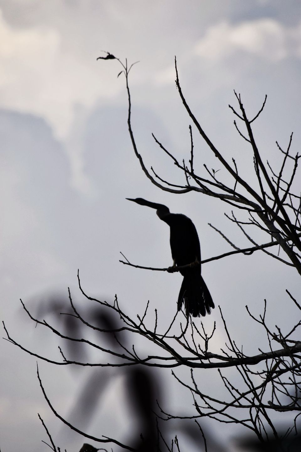Photo of Budget trip to MEGHALAYA with Bawra Musafir by BAWRA_MUSAFIR
