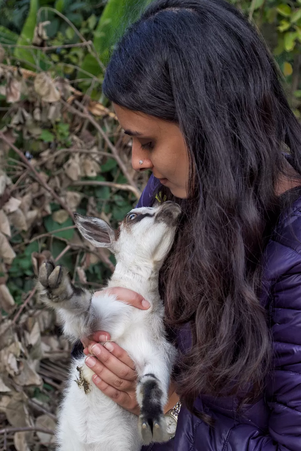 Photo of Majuli, Assam by BAWRA_MUSAFIR