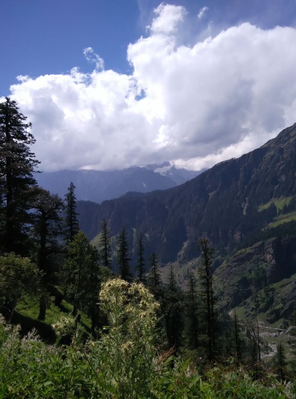Photo of Getting Leh'd for 10 days at a stretch by Milind Ghoting
