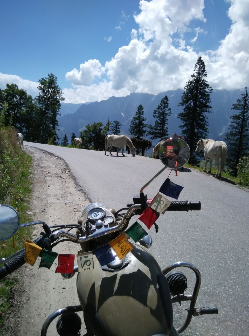 Photo of Getting Leh'd for 10 days at a stretch by Milind Ghoting