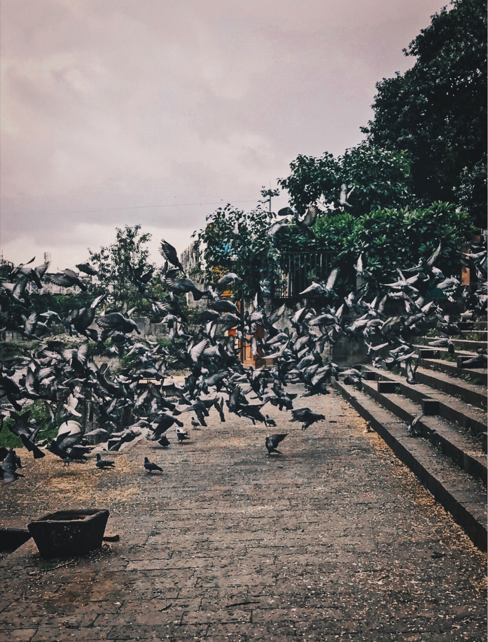 Photo of Planning early meals! by PUSHP RAJDEV
