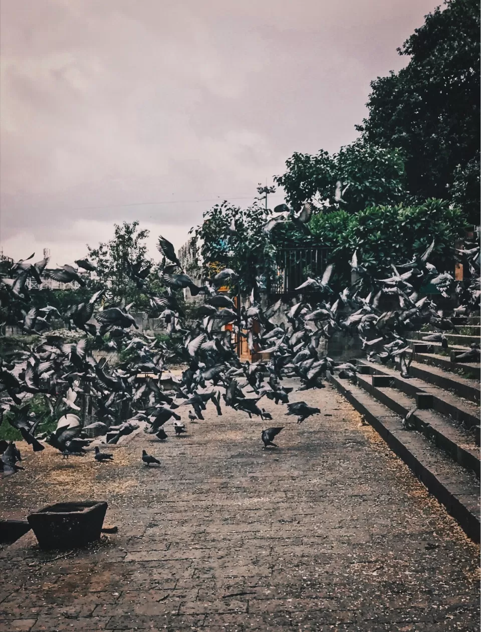 Photo of Planning early meals! by PUSHP RAJDEV