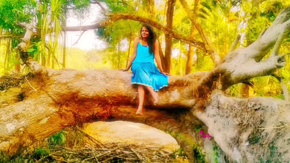 Photo of Capitol Village, 5th KM, Siddapur Road,, Kadagadal, Karnataka 571201, India by Sri - that Madras ponnu